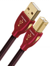 Photograph of Audioquest Cinnamon USB